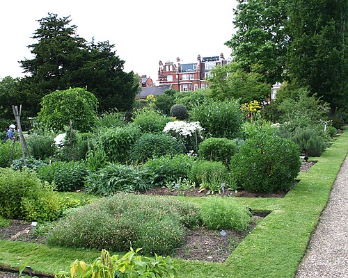 Physic Garden